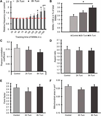 MFN2 mediates ER-mitochondrial coupling during ER stress through specialized stable contact sites